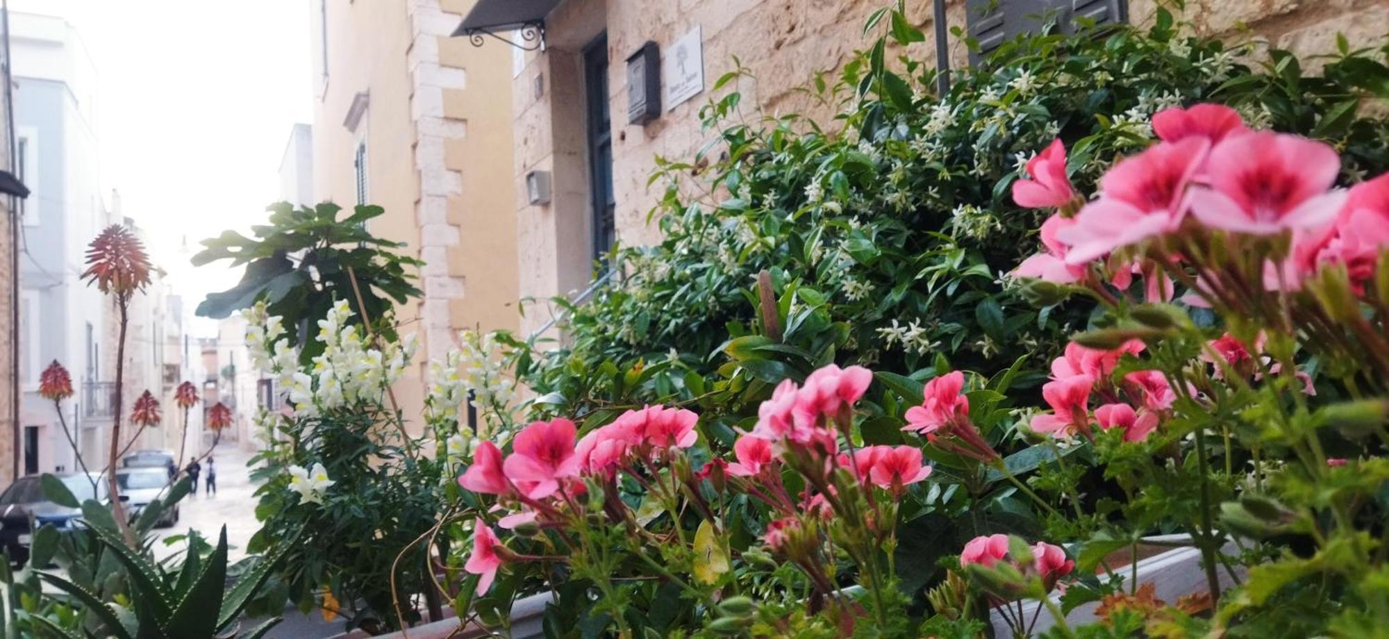 Bed and Breakfast Dimora Delle Badesse Conversano Exteriér fotografie